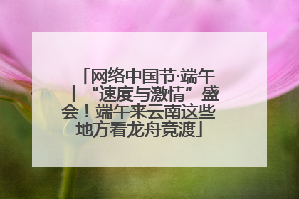 网络中国节·端午丨“速度与激情”盛会！端午来云南这些地方看龙舟竞渡