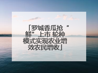 罗城香瓜抢“鲜”上市 轮种模式实现农业增效农民增收