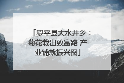 罗平县大水井乡：菊花栽出致富路 产业铺就振兴图