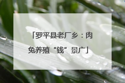 罗平县老厂乡：肉兔养殖“钱”景广