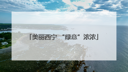 美丽西宁 “绿意”浓浓
