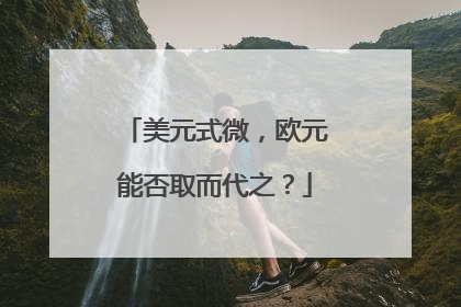 美元式微，欧元能否取而代之？