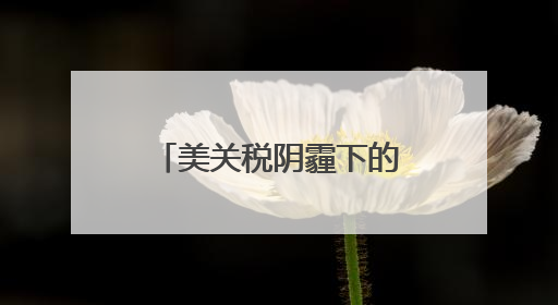 美关税阴霾下的G7财长会：“美国优先”加剧盟友内部矛盾