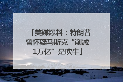 美媒爆料：特朗普曾怀疑马斯克“削减1万亿”是吹牛