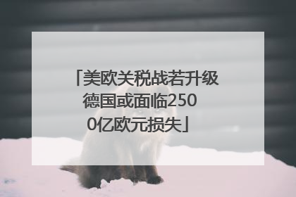 美欧关税战若升级 德国或面临2500亿欧元损失