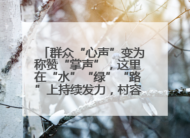 群众“心声”变为称赞“掌声”，这里在“水”“绿”“路”上持续发力，村容村貌焕然一新