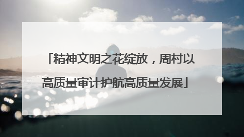 精神文明之花绽放，周村以高质量审计护航高质量发展