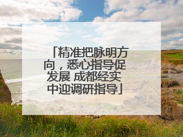 精准把脉明方向，悉心指导促发展 成都经实中迎调研指导