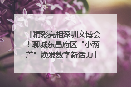 精彩亮相深圳文博会！聊城东昌府区“小葫芦”焕发数字新活力