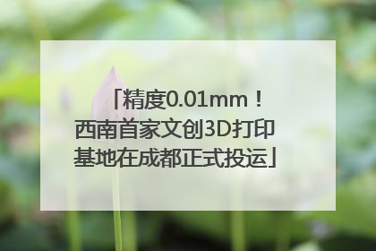 精度0.01mm！西南首家文创3D打印基地在成都正式投运