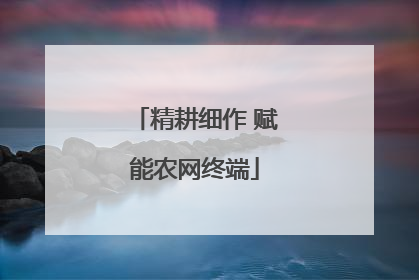 精耕细作 赋能农网终端