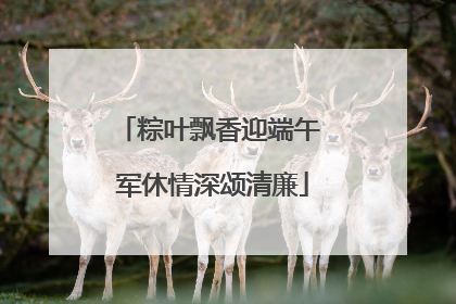 粽叶飘香迎端午 军休情深颂清廉