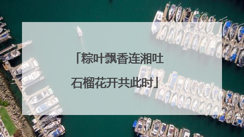 粽叶飘香连湘吐 石榴花开共此时