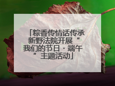 粽香传情话传承 新野法院开展“我们的节日・端午”主题活动