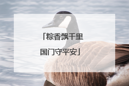 粽香飘千里 国门守平安