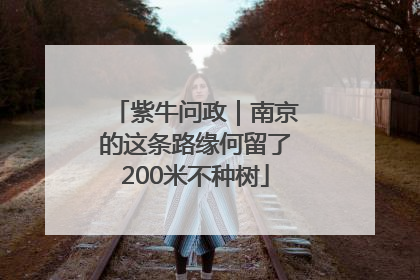 紫牛问政｜南京的这条路缘何留了200米不种树