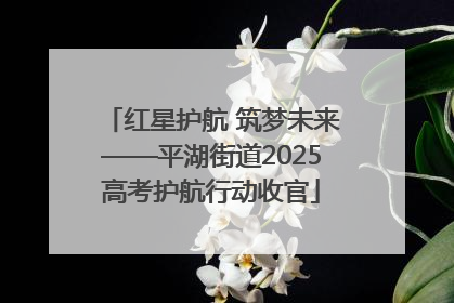 红星护航 筑梦未来——平湖街道2025高考护航行动收官