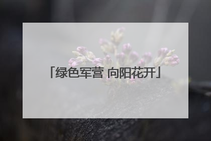 绿色军营 向阳花开