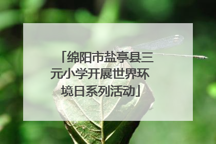 绵阳市盐亭县三元小学开展世界环境日系列活动