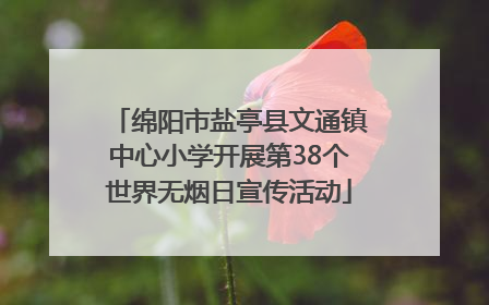 绵阳市盐亭县文通镇中心小学开展第38个世界无烟日宣传活动