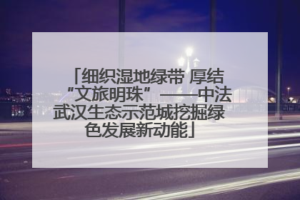 细织湿地绿带 厚结“文旅明珠”——中法武汉生态示范城挖掘绿色发展新动能
