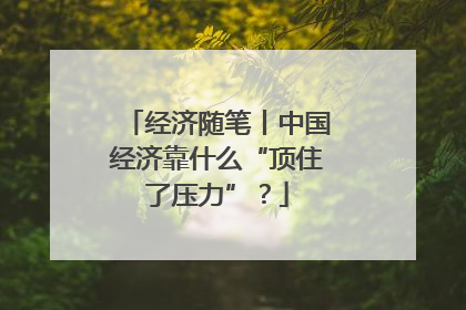 经济随笔丨中国经济靠什么“顶住了压力”？