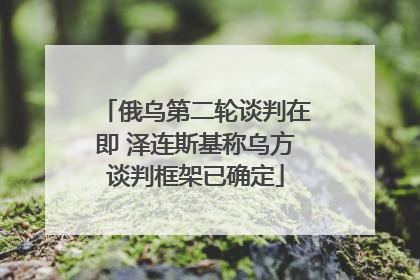 俄乌第二轮谈判在即 泽连斯基称乌方谈判框架已确定