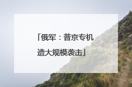 俄军：普京专机遭大规模袭击