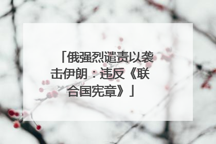 俄强烈谴责以袭击伊朗：违反《联合国宪章》