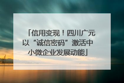 信用变现！四川广元以“诚信密码”激活中小微企业发展动能