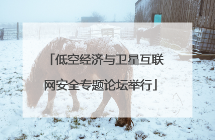 低空经济与卫星互联网安全专题论坛举行