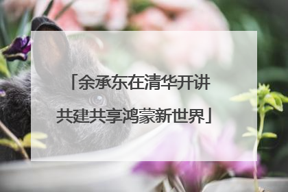 余承东在清华开讲 共建共享鸿蒙新世界