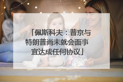 佩斯科夫：普京与特朗普尚未就会面事宜达成任何协议