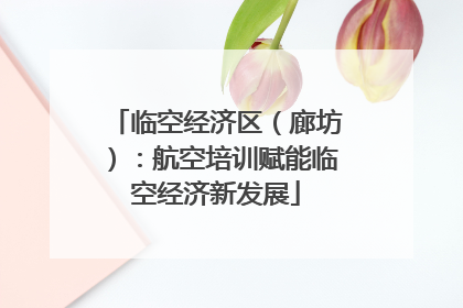 临空经济区（廊坊）：航空培训赋能临空经济新发展
