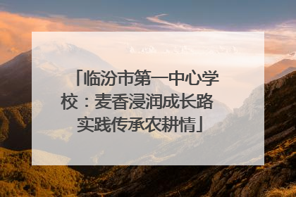 临汾市第一中心学校：麦香浸润成长路 实践传承农耕情