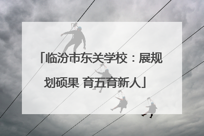 临汾市东关学校：展规划硕果 育五育新人