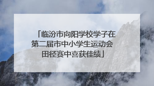 临汾市向阳学校学子在第二届市中小学生运动会田径赛中喜获佳绩