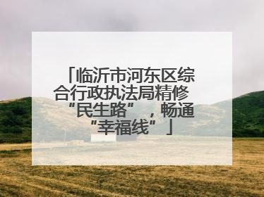 临沂市河东区综合行政执法局精修“民生路”，畅通“幸福线”