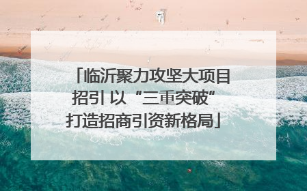 临沂聚力攻坚大项目招引 以“三重突破”打造招商引资新格局