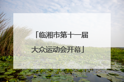 临湘市第十一届大众运动会开幕