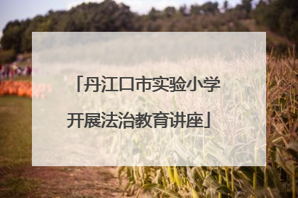 丹江口市实验小学开展法治教育讲座