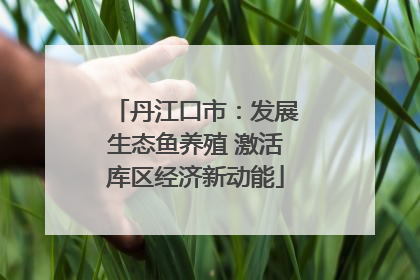 丹江口市：发展生态鱼养殖 激活库区经济新动能