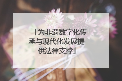 为非遗数字化传承与现代化发展提供法律支撑