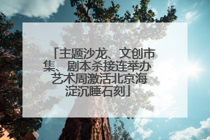 主题沙龙、文创市集、剧本杀接连举办 艺术周激活北京海淀沉睡石刻