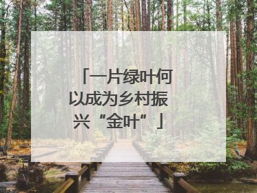 一片绿叶何以成为乡村振兴“金叶”