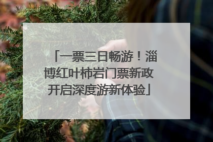 一票三日畅游！淄博红叶柿岩门票新政开启深度游新体验