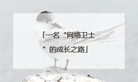 一名“网络卫士”的成长之路