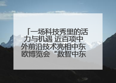 一场科技秀里的活力与机遇 近百项中外前沿技术亮相中东欧博览会“数智中东欧”板块
