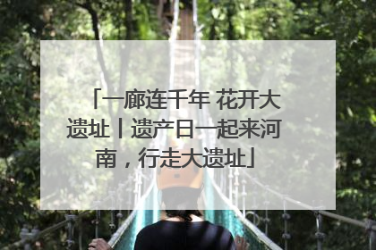 一廊连千年 花开大遗址丨遗产日一起来河南，行走大遗址