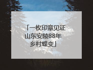 一枚印章见证山东安陵88年乡村蝶变